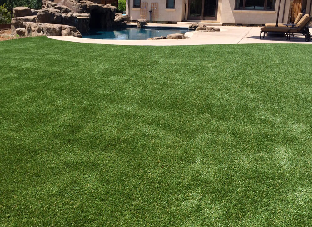 Lawn turf deals