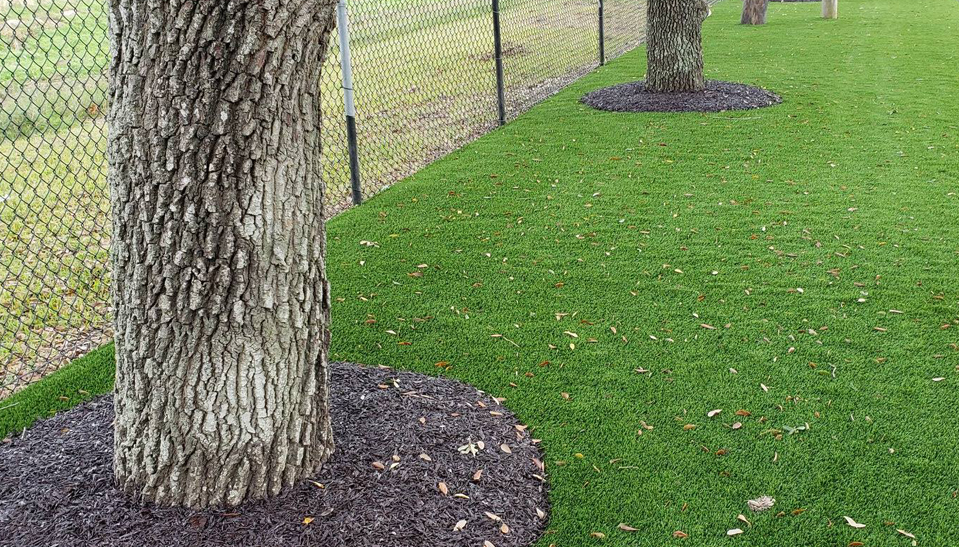 Leaves on landscaping