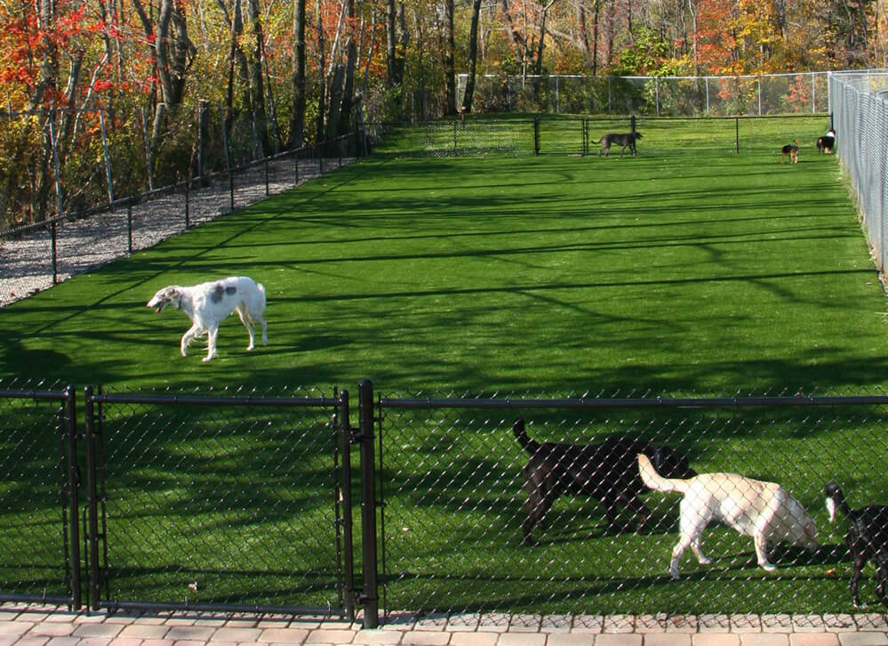 Commercial Pet Fences