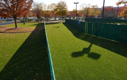 XGrass pet turf installed at a doggie daycare