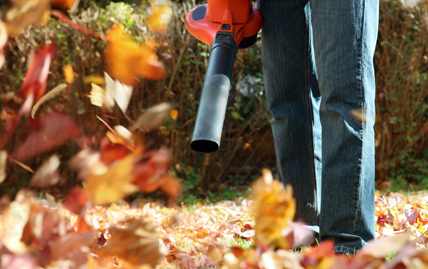 Leaf Blower in Turf